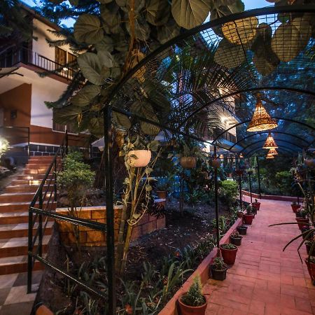 Spice Jungle Resort Munnar Exterior foto