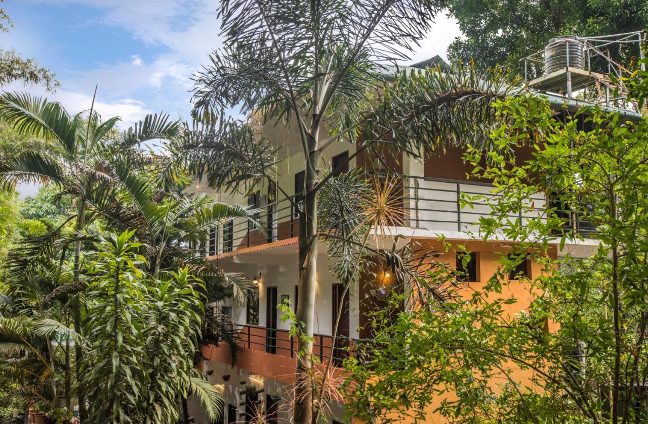 Spice Jungle Resort Munnar Exterior foto